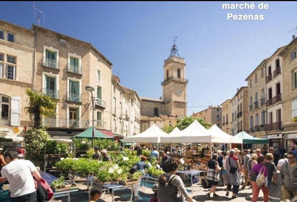 L'Authentique Apartment Pezenas Bagian luar foto